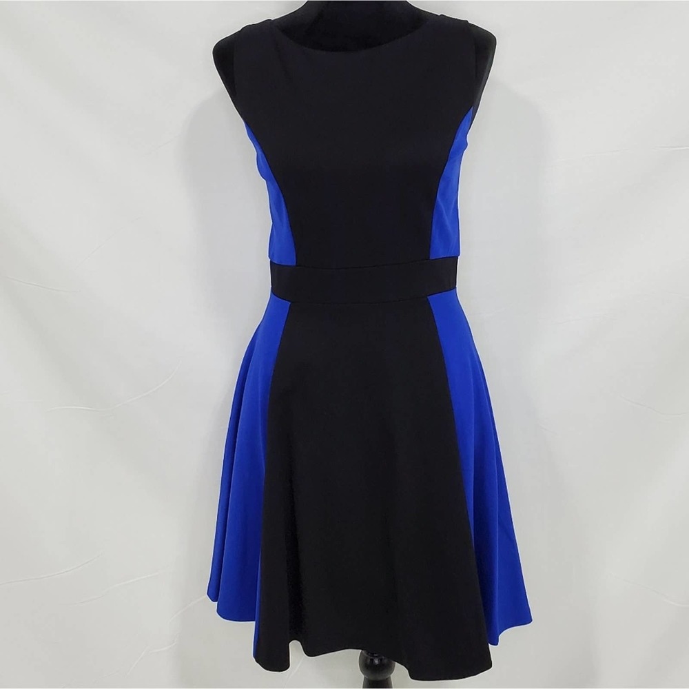 Love...Ady Sleeveless Fit and Flare Mini Dress